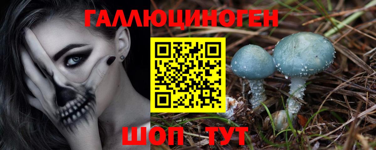 Где продают наркотики?  Канабис  Гашиш  Cocaine  Меф кристаллы  НБОМе  Саки  Вход с VPN 