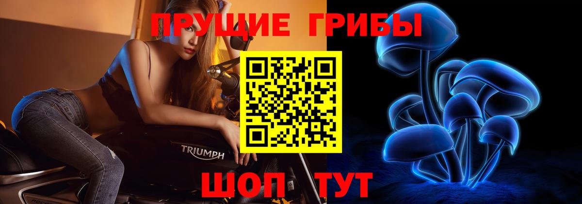 Саки  Псилоцибиновые грибы Magic Shrooms  как найти закладки  Вход с VPN 